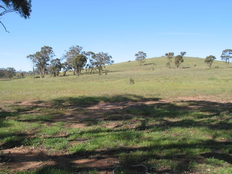 Wedderburn VIC 3518