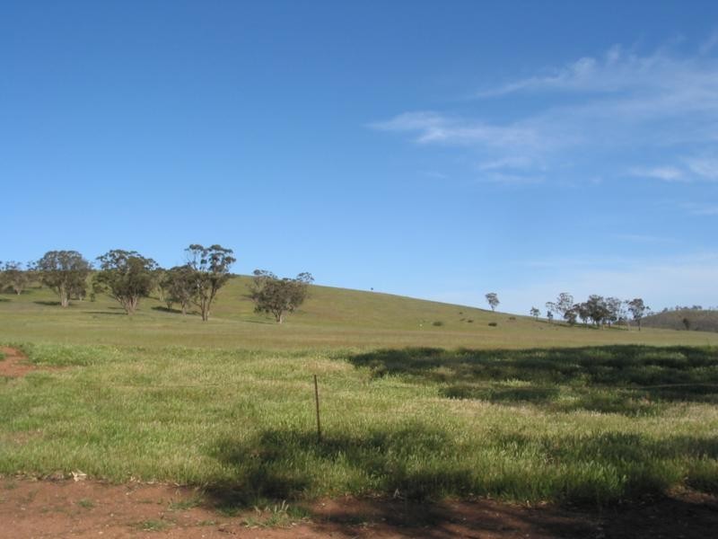 Wedderburn VIC 3518