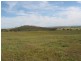 Wedderburn VIC 3518