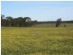 Wedderburn VIC 3518