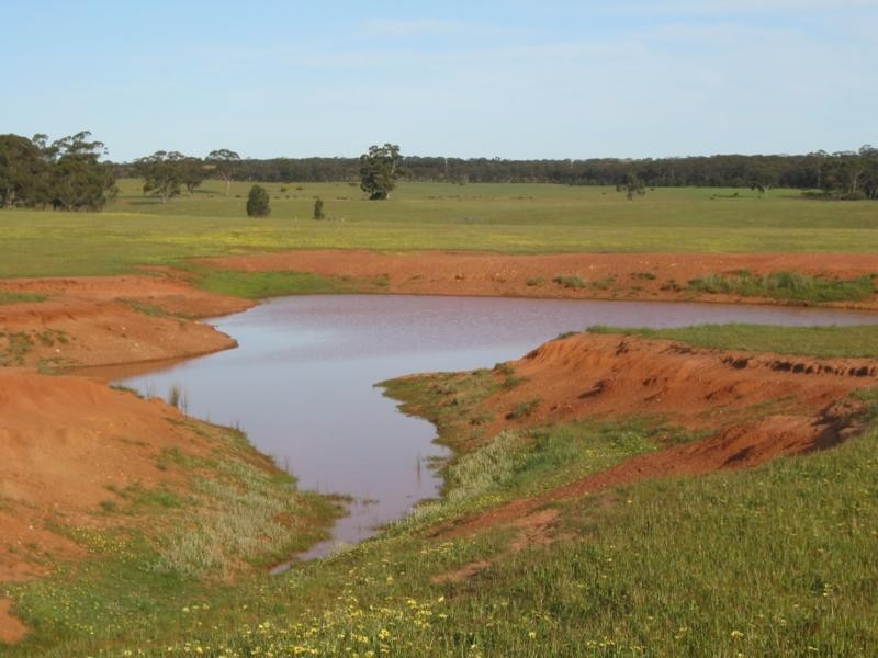 Wedderburn VIC 3518