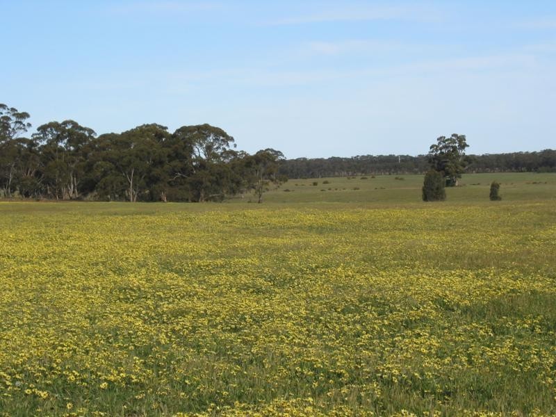 L4 Calder Highway, Woosang VIC 3518