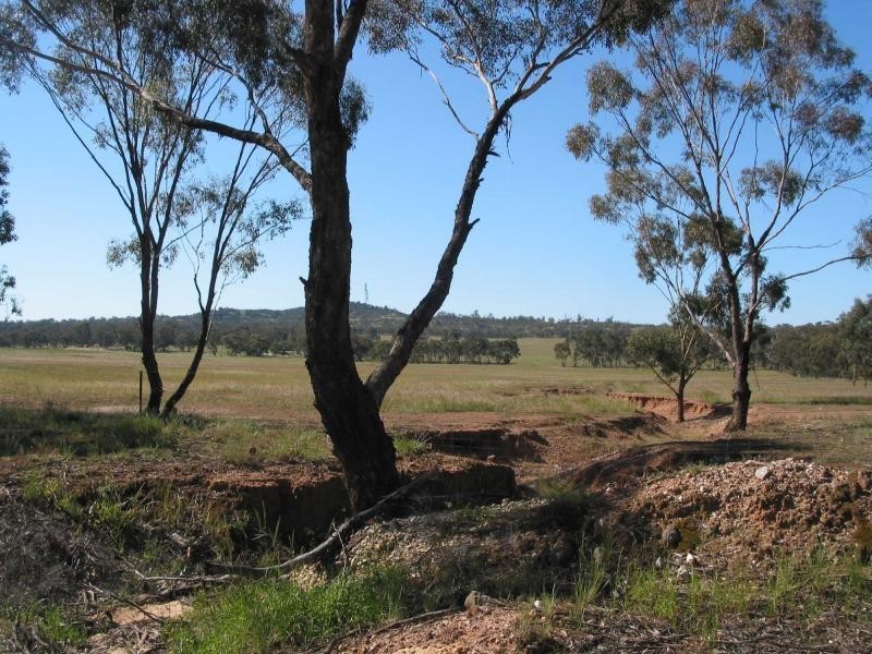 539 Wychitella Korong Vale Road, Wedderburn VIC 3518