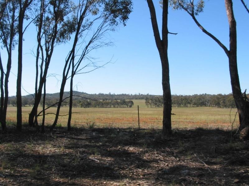 539 Wychitella Korong Vale Road, Wedderburn VIC 3518