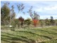 18A & 18B Safstroms Lane, Heathcote VIC 3523