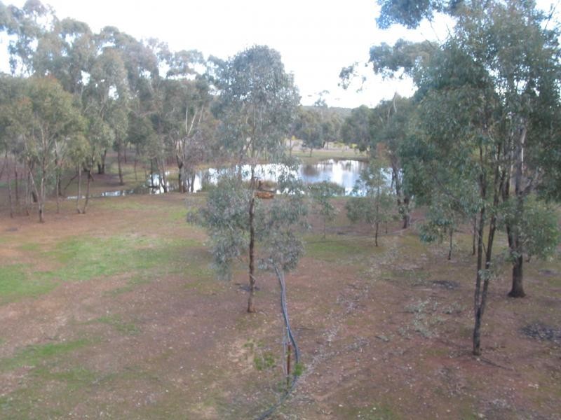 332 Wheelhouse Road, Inglewood VIC 3517