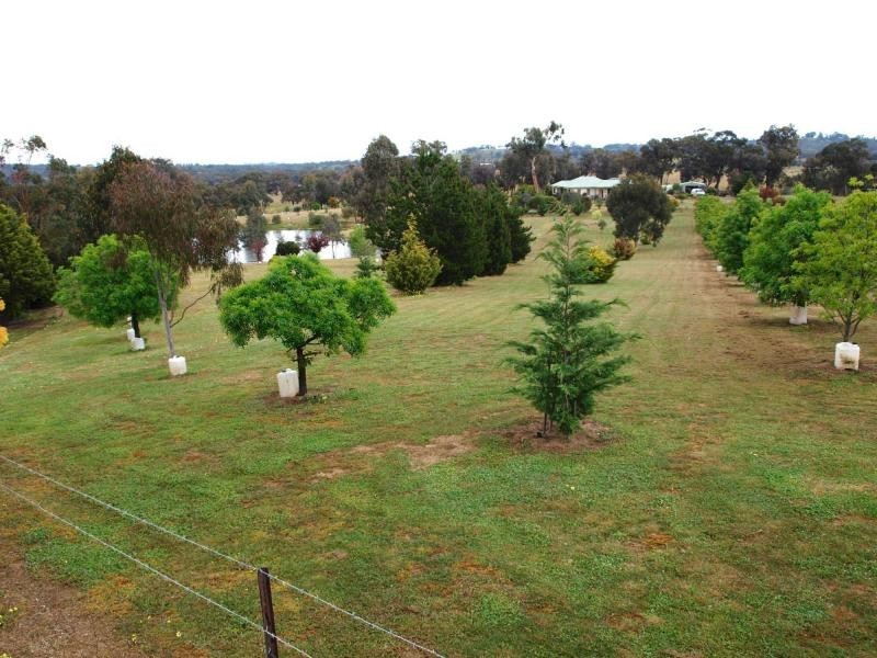 49 Horsburgh Court, Heathcote VIC 3523