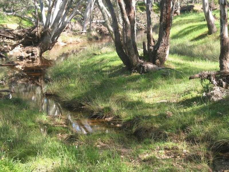 54 Middle Road, Dunolly VIC 3472