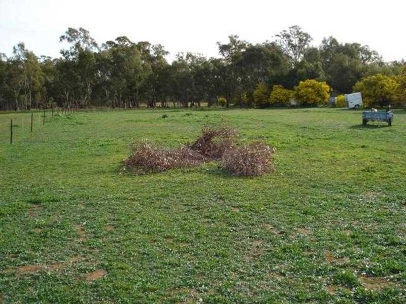 54 Middle Road, Dunolly VIC 3472