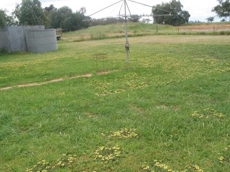 20 Bell Street, Borung VIC 3518