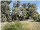 1061 Schoolhouse Lane, Heathcote VIC 3523