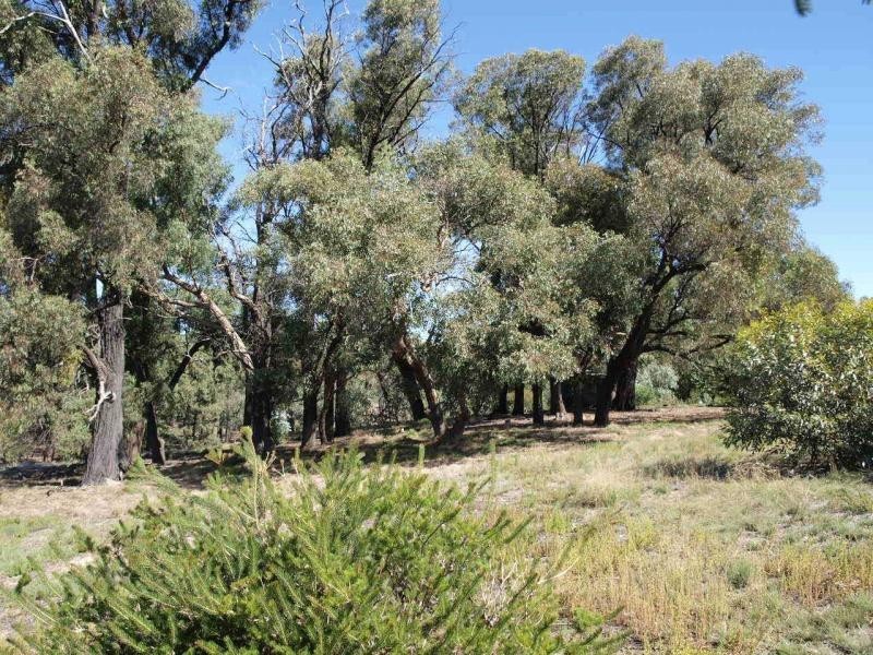 1061 Schoolhouse Lane, Heathcote VIC 3523