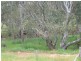 6 Betley Road, Dunolly VIC 3472