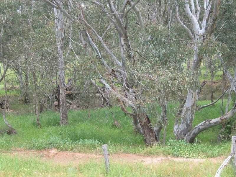 6 Betley Road, Dunolly VIC 3472