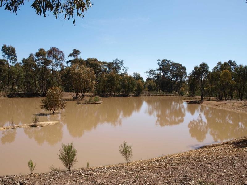 402 Warrowitue Forest Road, Heathcote VIC 3523