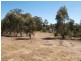 402 Warrowitue Forest Road, Heathcote VIC 3523