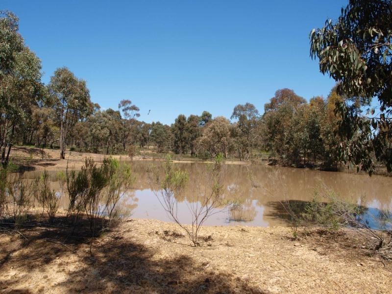 402 Warrowitue Forest Road, Heathcote VIC 3523