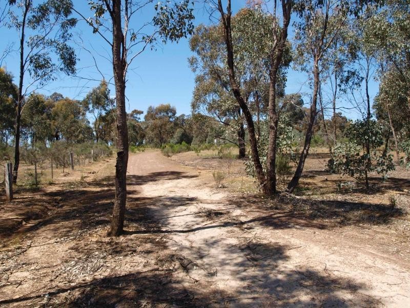 402 Warrowitue Forest Road, Heathcote VIC 3523