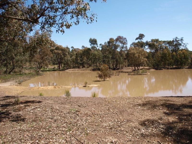 402 Warrowitue Forest Road, Heathcote VIC 3523