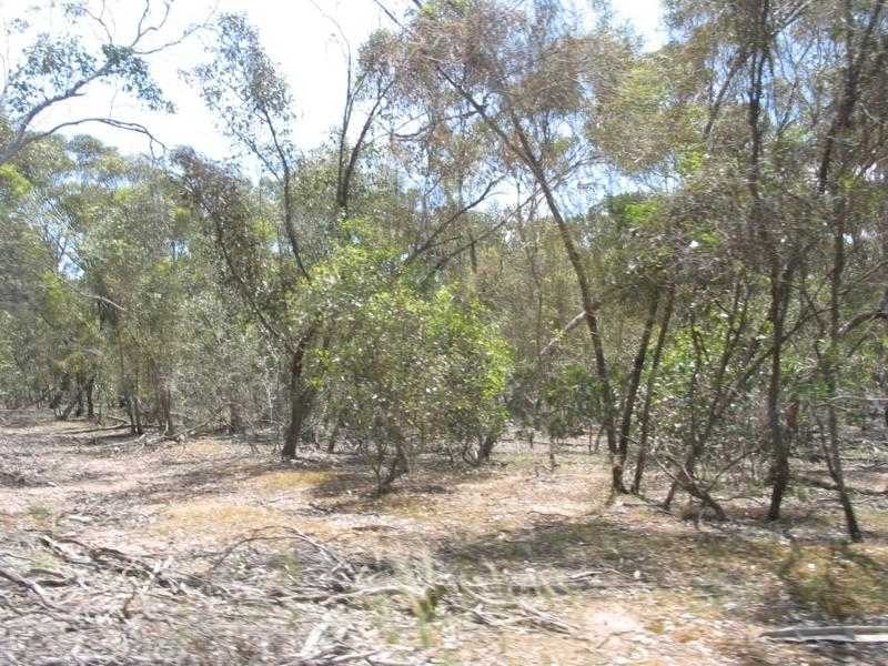 Neilborough VIC 3570