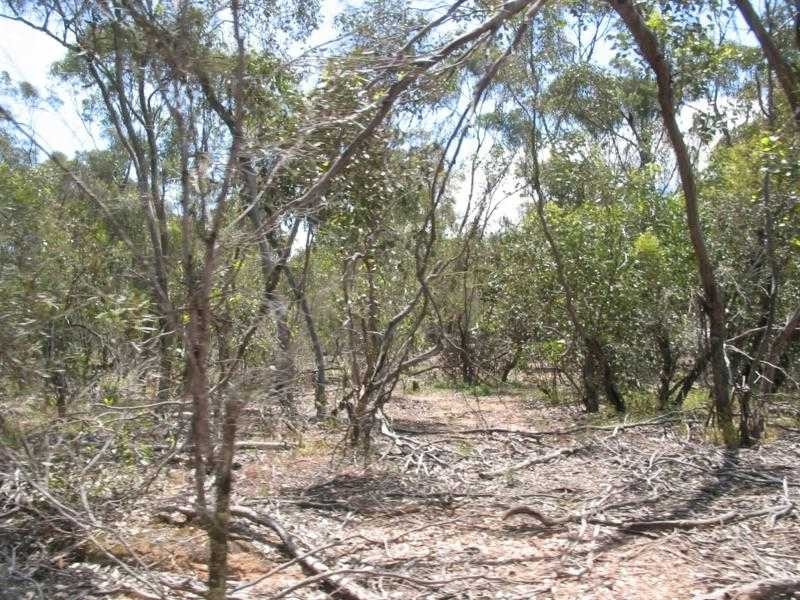 Neilborough VIC 3570