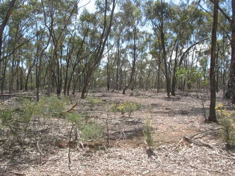 Neilborough VIC 3570