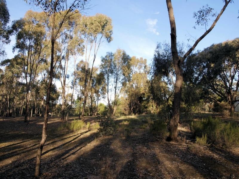 20 Romano Court, Heathcote VIC 3523