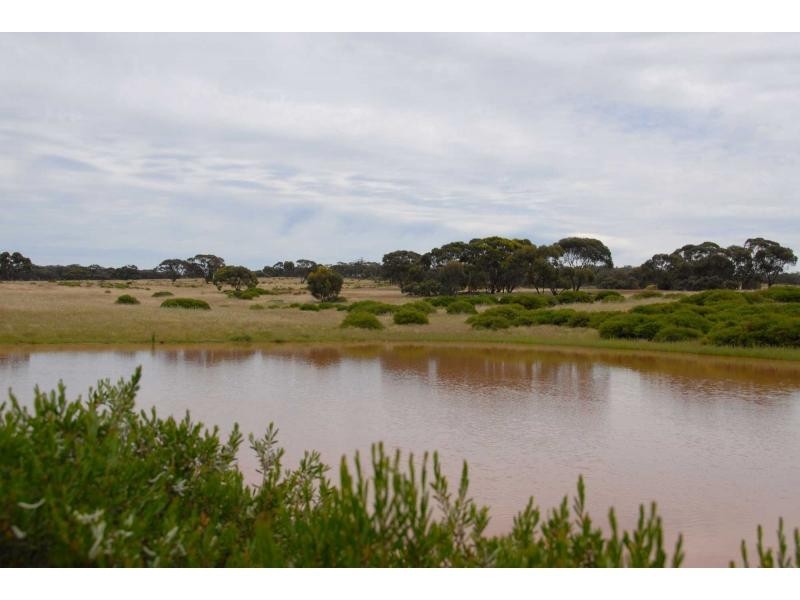 4 Calder Highway, Wedderburn VIC 3518