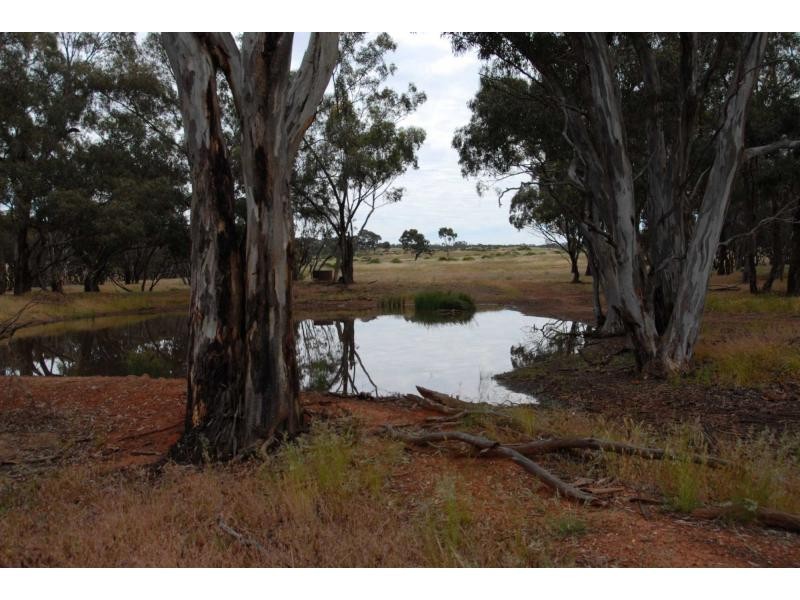 4 Calder Highway, Wedderburn VIC 3518