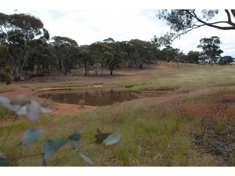 4 Calder Highway, Wedderburn VIC 3518