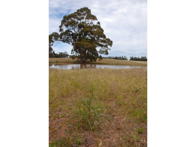 4 Calder Highway, Wedderburn VIC 3518
