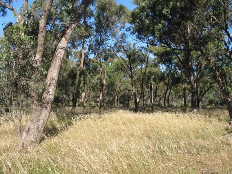 111 Pasley Street, Huntly VIC 3551