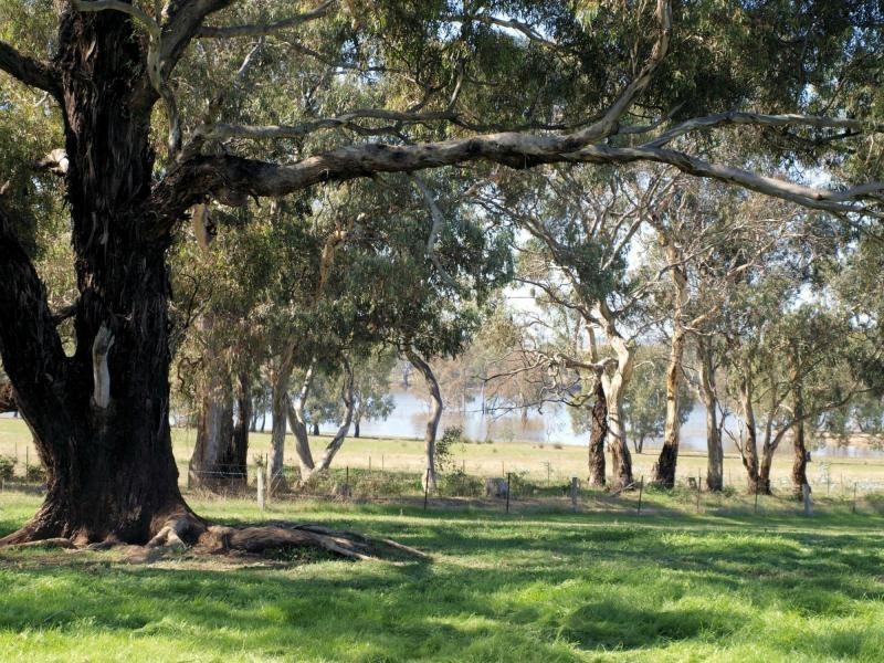 Lot 2 Speedboat Road, Eppalock VIC 3551