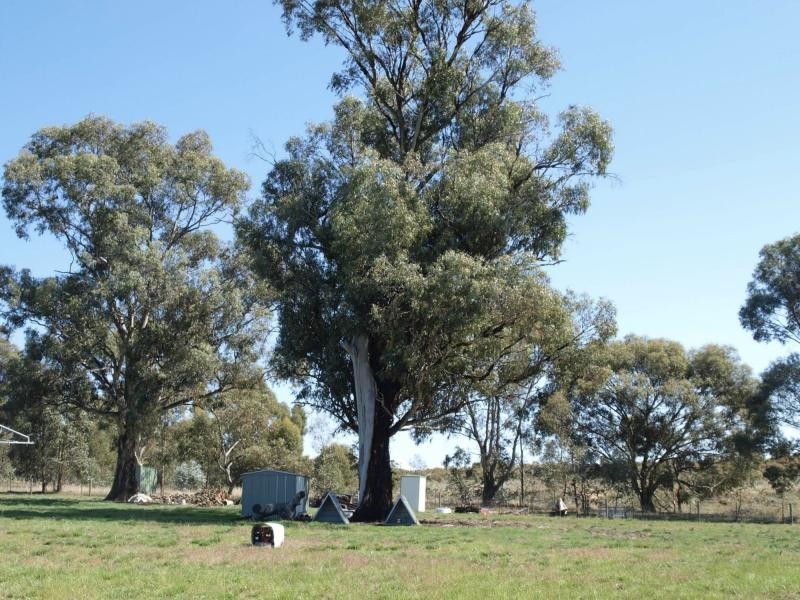 Lot 2 Speedboat Road, Eppalock VIC 3551