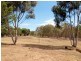 279 Warrowitue Forest Road, Heathcote VIC 3523