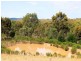 279 Warrowitue Forest Road, Heathcote VIC 3523