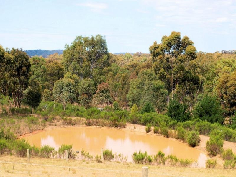 279 Warrowitue Forest Road, Heathcote VIC 3523