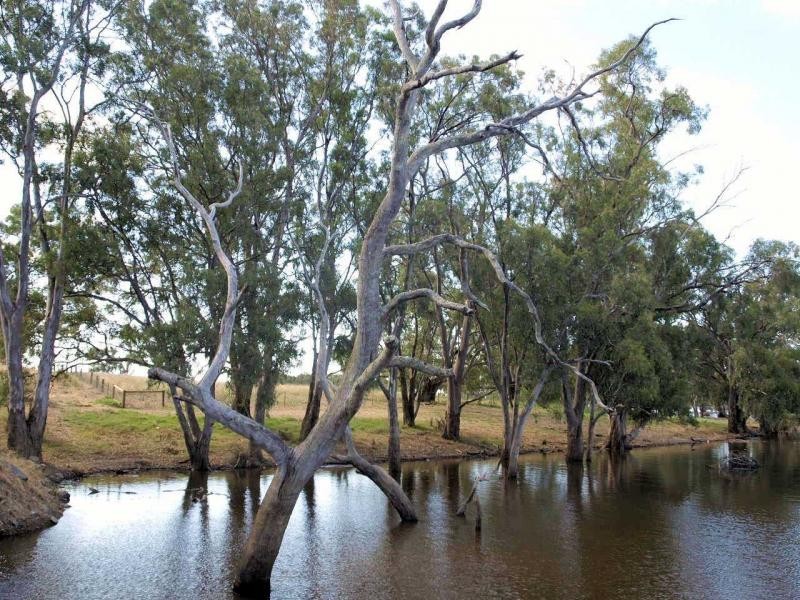 Lot 4 Mia Mia Derrinal Road, Eppalock VIC 3551