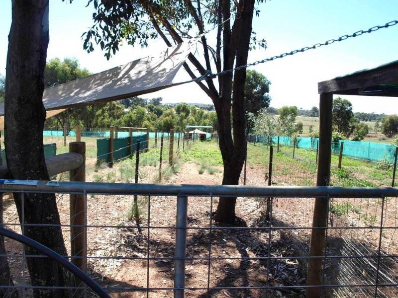 109 Wilson Road, Heathcote VIC 3523