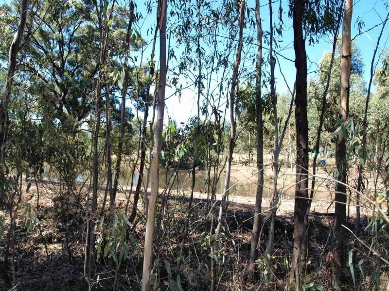 109 Wilson Road, Heathcote VIC 3523