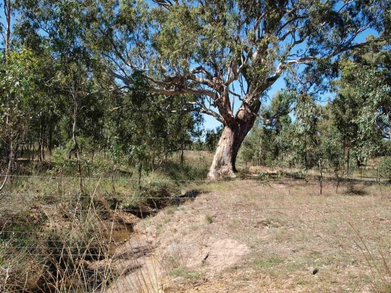 109 Wilson Road, Heathcote VIC 3523