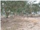 1 Alexander Lane, Arnold VIC 3551