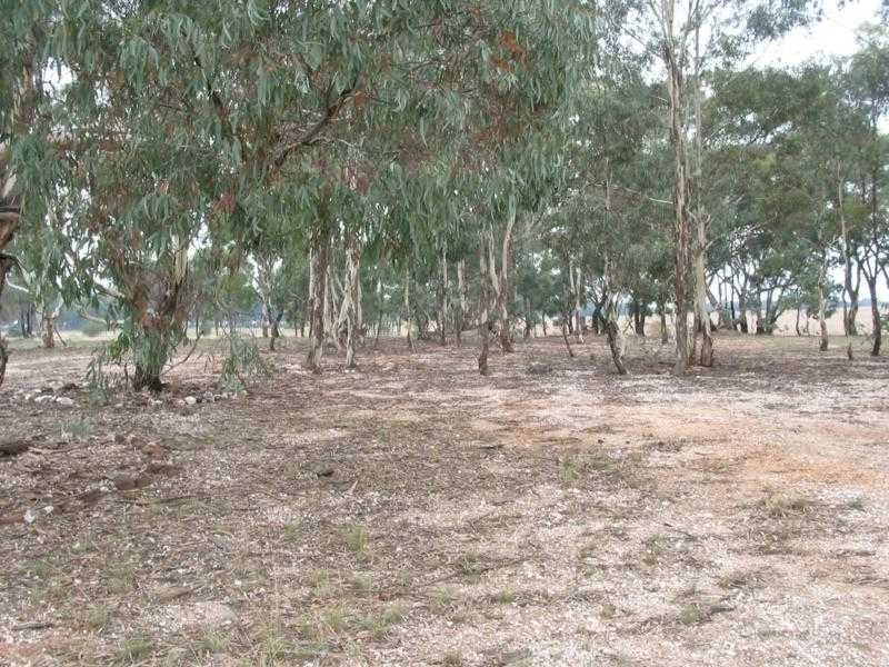 1 Alexander Lane, Arnold VIC 3551
