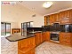 24 Chilton Crescent, North Lakes QLD 4509