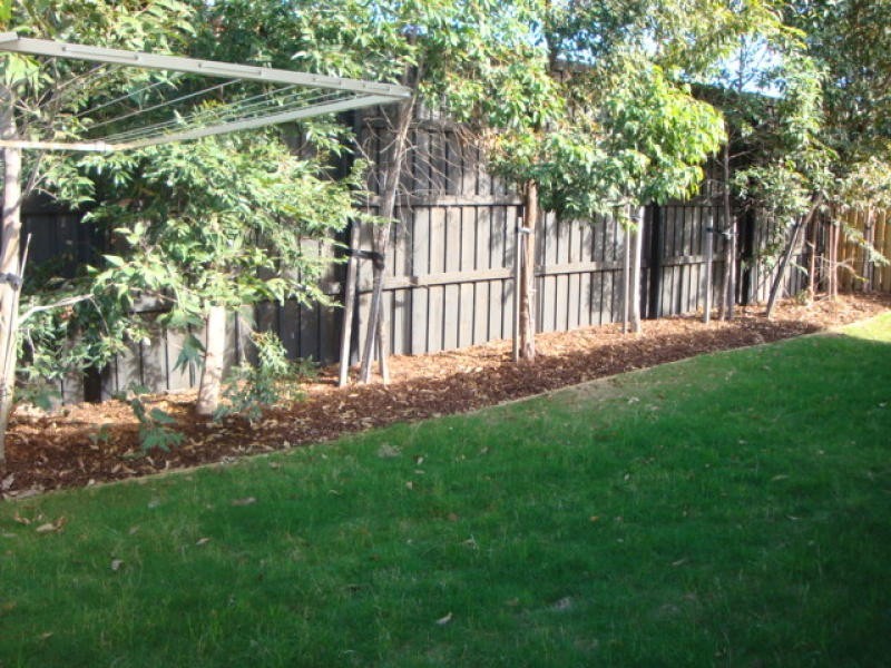 31 Gibbs Street, North Lakes QLD 4509