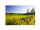 Mango Hill QLD 4509