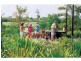 North Lakes QLD 4509