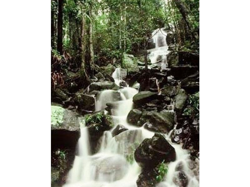 138 Gerrard Road, Montville QLD 4560