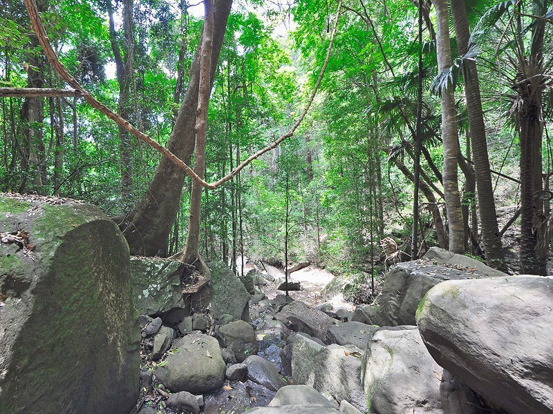 138 Gerrard Road, Montville QLD 4560