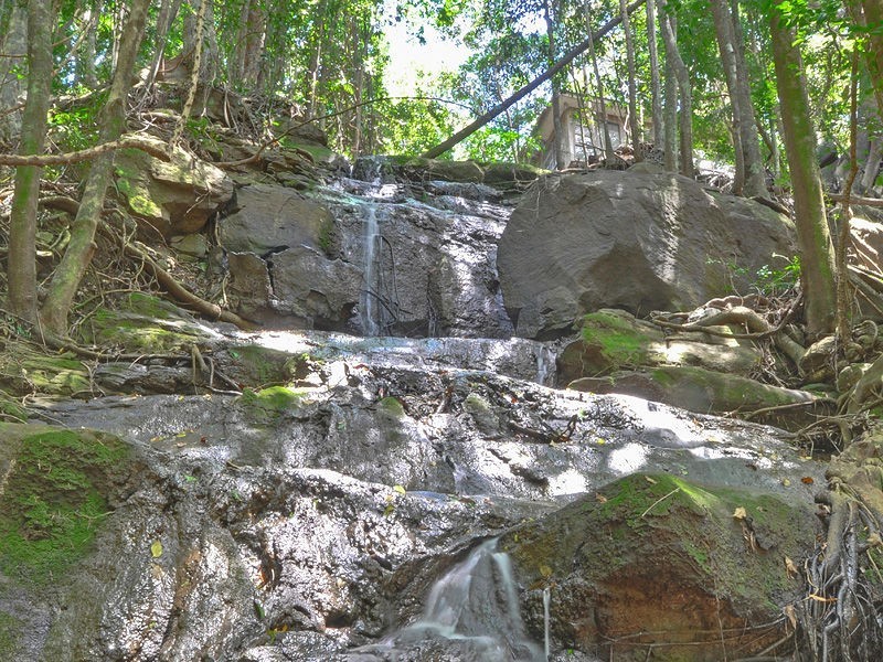 138 Gerrard Road, Montville QLD 4560